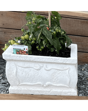 Jardinière en Pierre Rectangulaire 100 x 50 x 30 cm Vérone