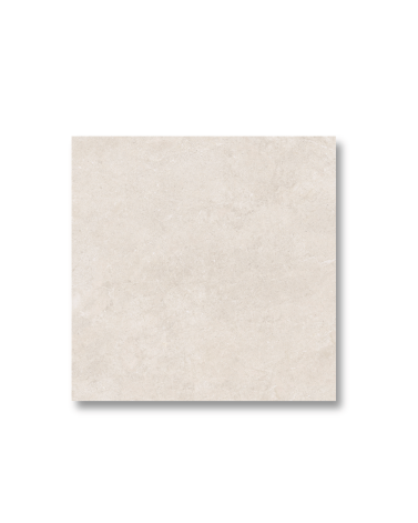 Carrelage Extérieur 20 mm Effet Pierre Bone 60 x 60 Rectifié