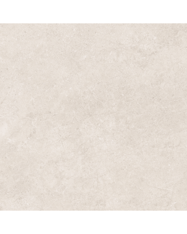 Dalle Extérieur 20 mm Effet Pierre Bone 60 x 60 Rectifié