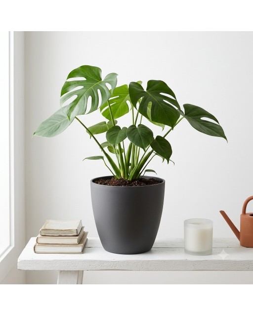 Pot de Fleurs Ciment 28 cm de Hauteur, 12 L Intérieur/Extérieur Anthracite