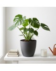 Pot de Fleurs Ciment 28 cm de Hauteur, 12 L Intérieur/Extérieur Anthracite Pot de Fleurs Ciment 28 cm de Hauteur, 12 L Intérieur/Extérieur Anthracite