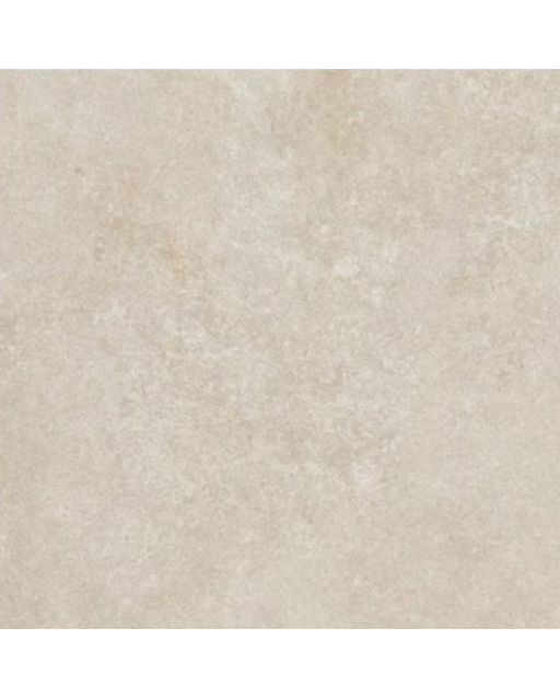 Carrelage Intérieur Effet Béton Greige 60 x 60 Rectifié