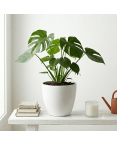 Pot de Fleurs Ciment 28 cm de Hauteur, 12 L Intérieur/Extérieur Naturel Pot de Fleurs Ciment 28 cm de Hauteur, 12 L Intérieur/Extérieur Naturel