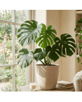 Pot de Fleurs Ciment 28 cm de Hauteur, 12 L Intérieur/Extérieur Taupe
