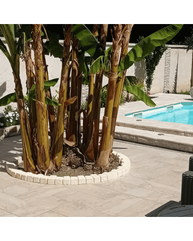Bordure Pavé Courbé 60 x 13 x 7 cm Pierre