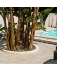 Bordure Pavé Courbé 60 x 13 x 7 cm Ivoire