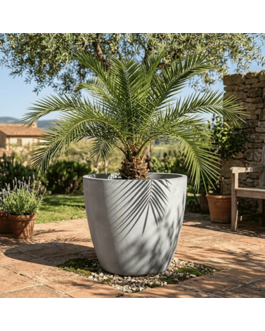 Pot de Fleurs Ciment 47 cm de Hauteur, 80 L Intérieur/Extérieur Naturel