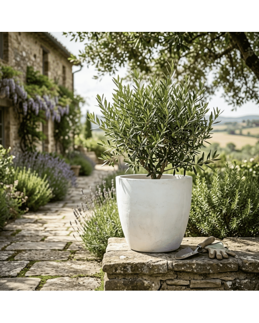 Pot de Fleurs Ciment 47 cm de Hauteur, 80 L Intérieur/Extérieur Naturel
