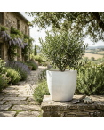 Pot de Fleurs Ciment 47 cm de Hauteur, 80 L Intérieur/Extérieur Naturel Pot de Fleurs Ciment 47 cm de Hauteur, 80 L Intérieur/Extérieur Naturel