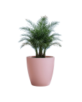 Pot de Fleurs Ciment 47 cm de Hauteur, 80 L Intérieur/Extérieur Saumon