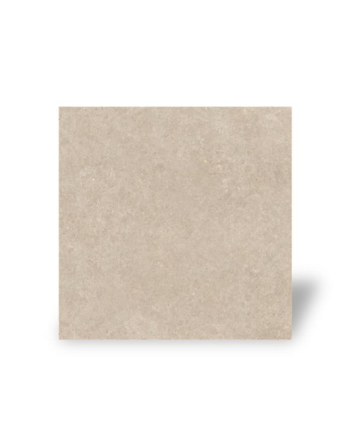 Carrelage Intérieur Effet Pierre Natural 60 x 60 Rectifié