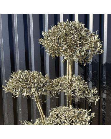 Olivier Europaea PomPom Nuage H.140 cm