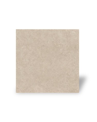 Carrelage Intérieur Effet Pierre 60x60 Natural Rectifié