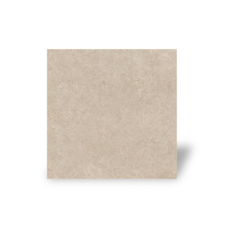 Carrelage Intérieur Effet Pierre Natural 60 x 60 Rectifié