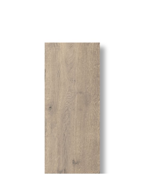 Carrelage Intérieur/Extérieur Effet Bois Taupe 22,5 x 119,5 Rectifié